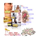 2-DETOX SERIES 排毒锦囊-SLIM HEALTHY KIT-(Home make-food) – 22g*10