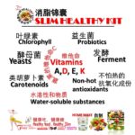 6-CELLULITE SERIES 消脂锦囊-SLIM HEALTHY KIT-(Home make-food) – 22g*10