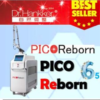 Pico Reborn